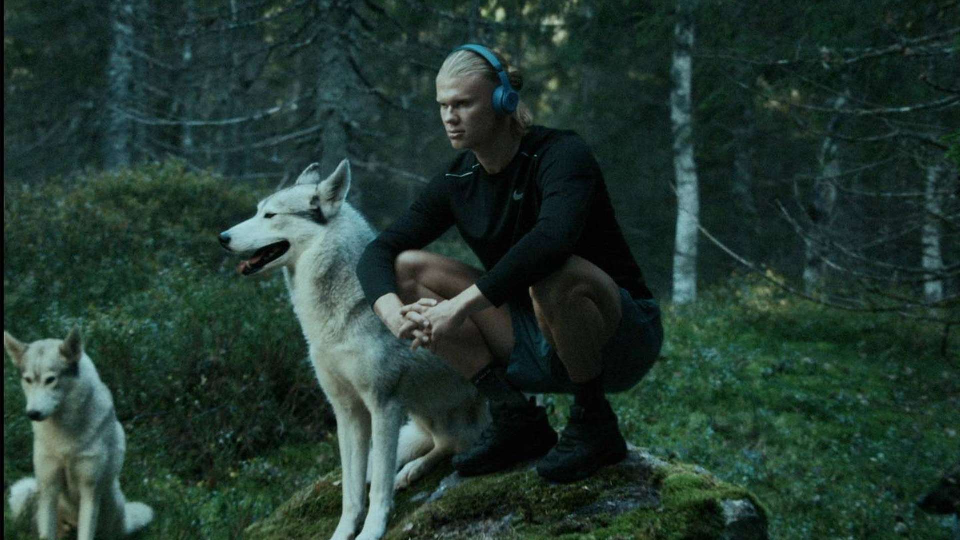 这粒进球打 这粒进球打