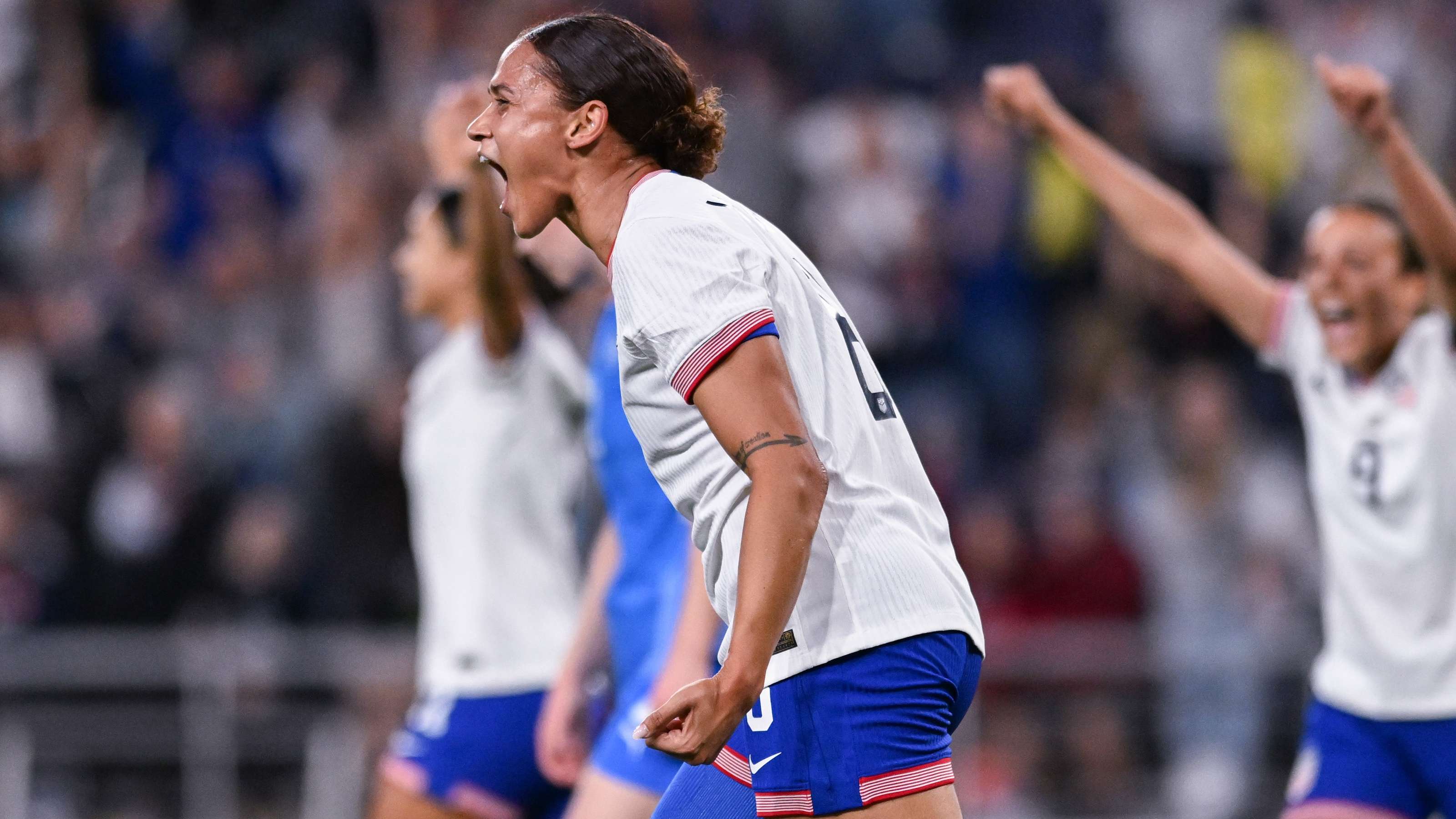 现出极高的 现出极高的